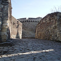 Beograd