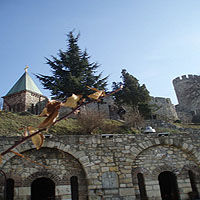 Beograd
