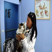 veterinari u beogradu