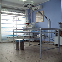 veterinari beograd